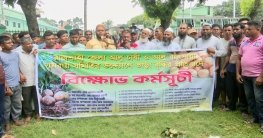হিমাগারের ভাড়া বৃদ্ধির প্রতিবাদে রাজশাহীতে আলু চাষিদের বিক্ষোভ